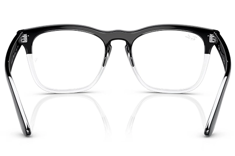Ray-Ban Steve RX4487V 8193 54 Black on Transparent