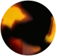 Tortoise