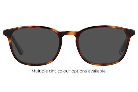 SDO Bretton 102 Tortoise 51