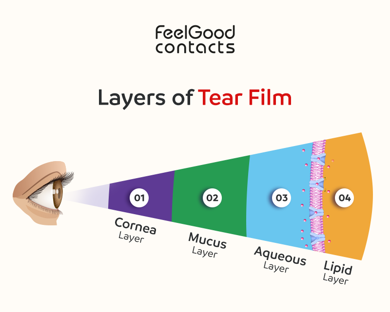 layers of tear films