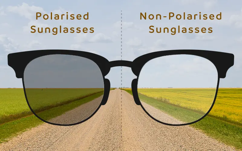 polarised vs unpolarised sunglasses