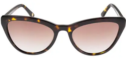 Dark Tortoise