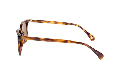 FGC Tay C02 Brown Polarised