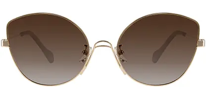 Feel Good Collection Ana Gold Brown Polarised