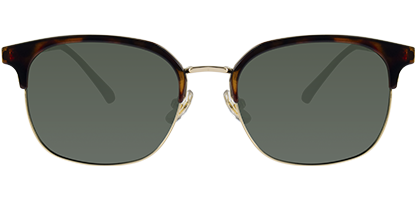 Feel Good Collection Andy 54 Tortoise Polarised