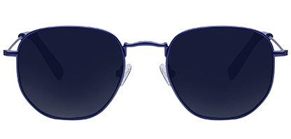 Dale 31 Blue 51 Polarised