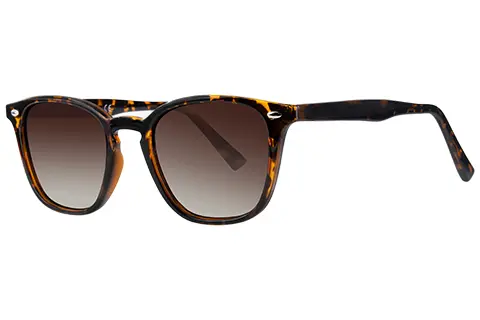 Feel Good Collection Elijah Tortoise Polarised