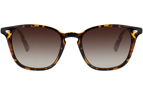 Feel Good Collection Elijah Tortoise Polarised