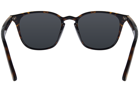 Feel Good Collection Hero 52 Tortoise Polarised