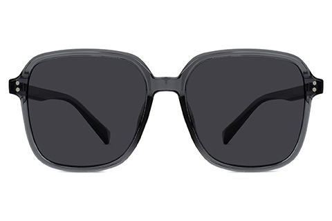 Feel Good Collection Hollis 10 Transparent Grey 55 Polarised