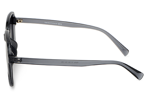 Feel Good Collection Hollis 10 Transparent Grey 55 Polarised