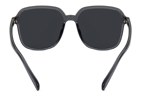 Feel Good Collection Hollis 10 Transparent Grey 55 Polarised