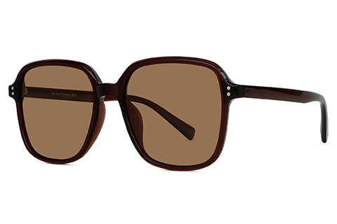 Feel Good Collection Hollis 11 Coffee 55 Polarised