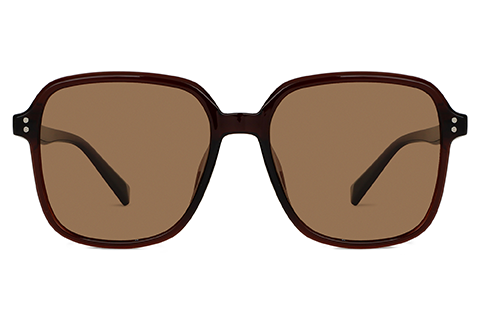 Feel Good Collection Hollis 11 Coffee 55 Polarised