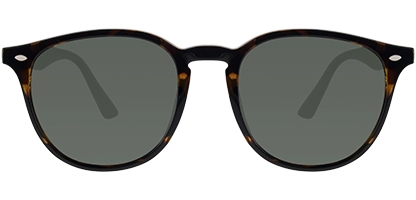 Feel Good Collection Phoenix 53 Tortoise Polarised