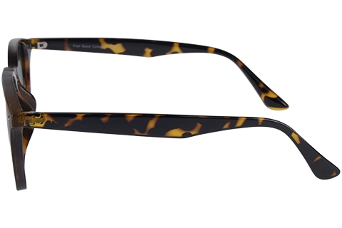 Feel Good Collection Phoenix 53 Tortoise Polarised