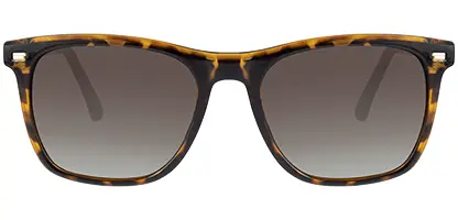 Feel Good Collection Sasha Tortoise Polarised