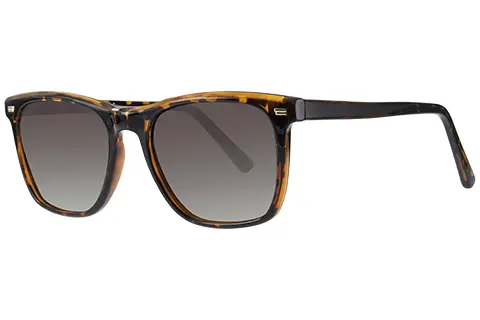 Feel Good Collection Sasha Tortoise Polarised