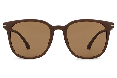 Feel Good Collection Taye 11 Coffee 50 Polarised