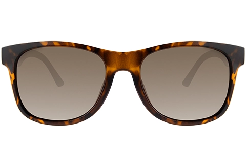 Feel Good Collection Zuri Tortoise Polarised