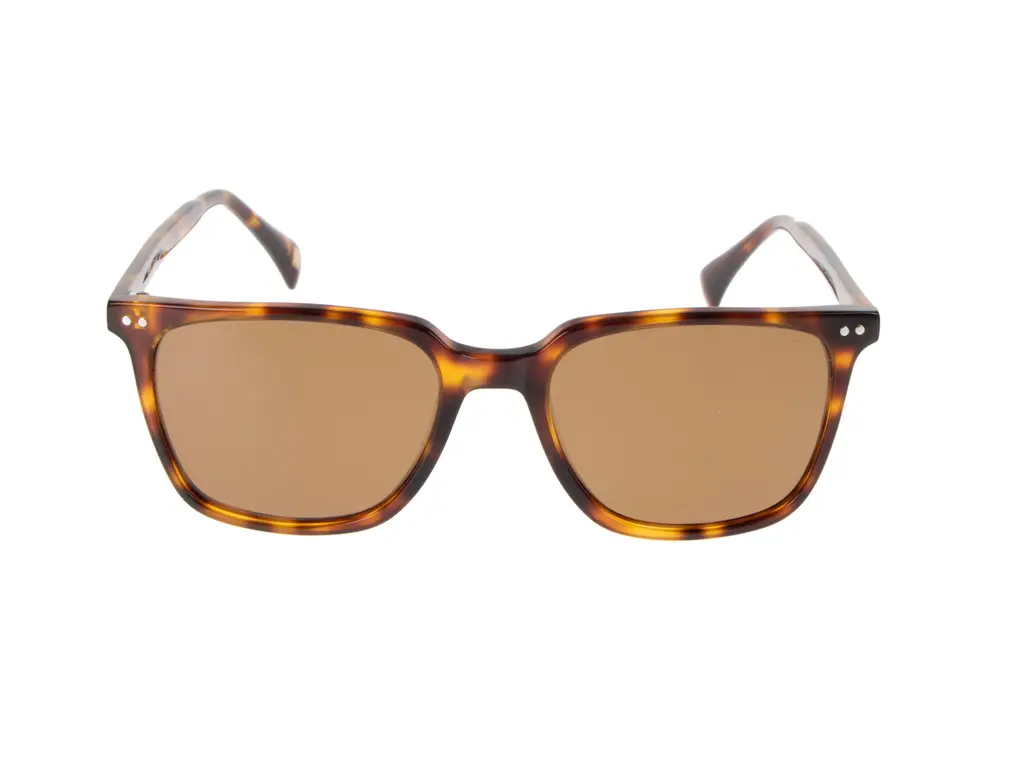 FGC Tay C02 Brown Polarised