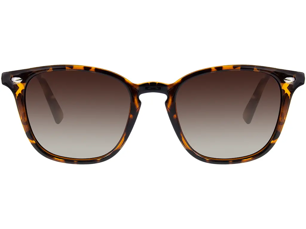 Feel Good Collection Elijah Tortoise Polarised