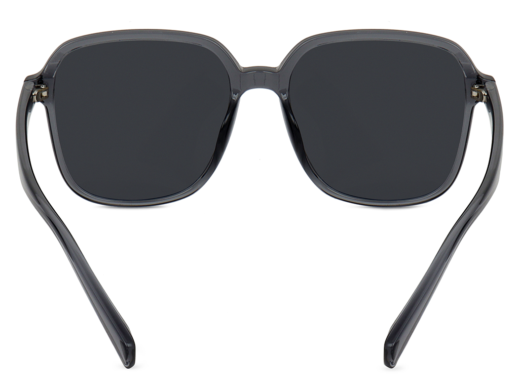 Feel Good Collection Hollis 10 Transparent Grey 55 Polarised
