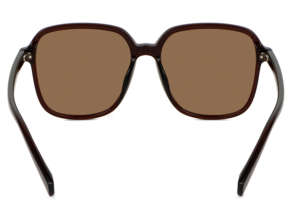 Feel Good Collection Hollis 11 Coffee 55 Polarised