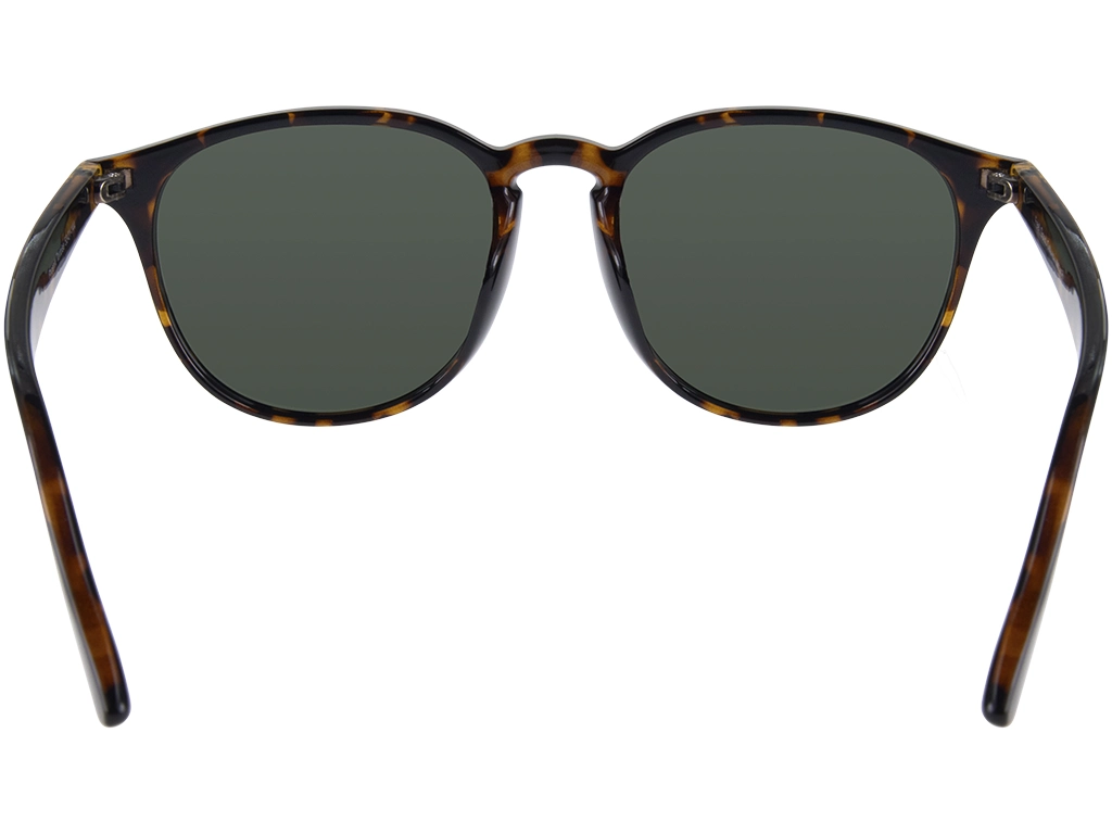 Feel Good Collection Phoenix 53 Tortoise Polarised