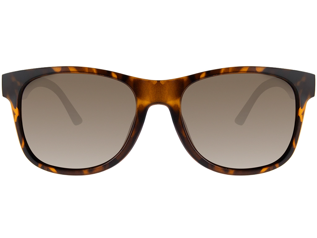 Feel Good Collection Zuri Tortoise Polarised