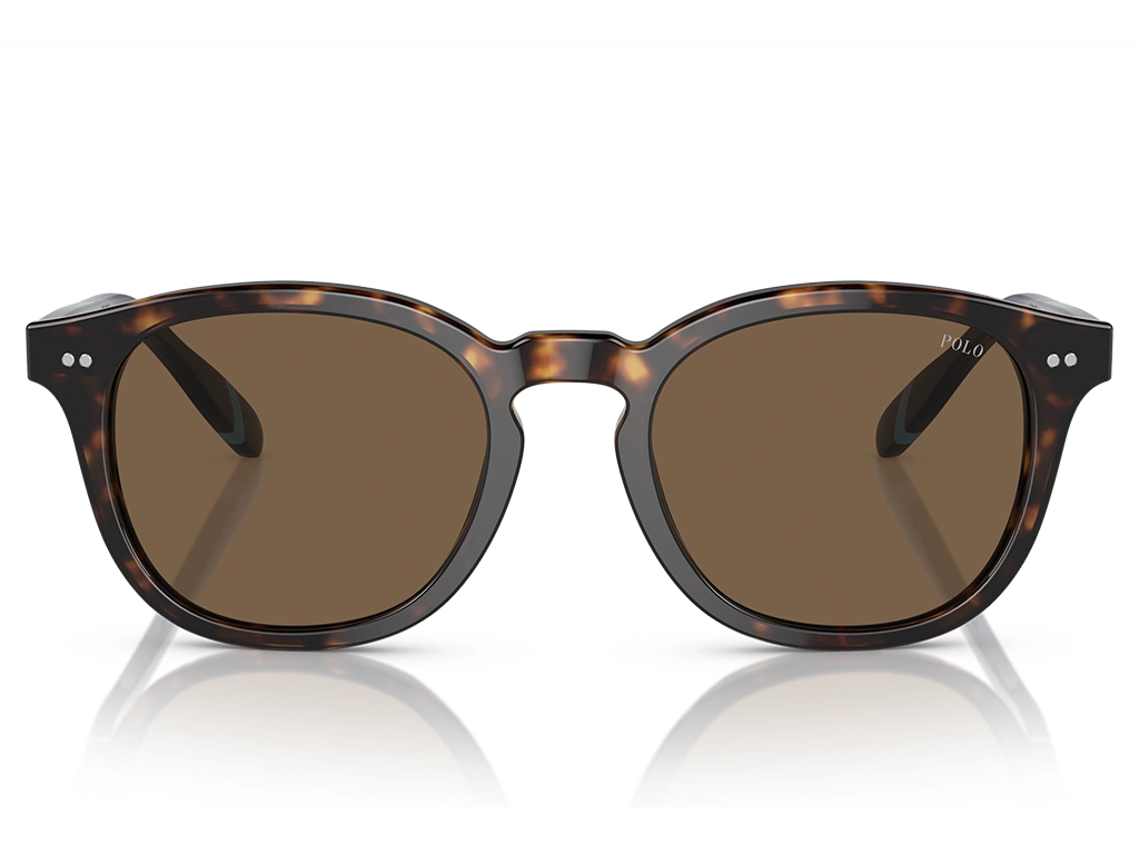 Polo Ralph Lauren 0PH4206 500373 Dark Havana 52