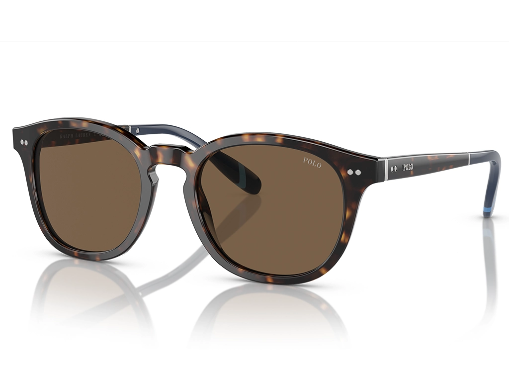 Polo Ralph Lauren 0PH4206 500373 Dark Havana 52