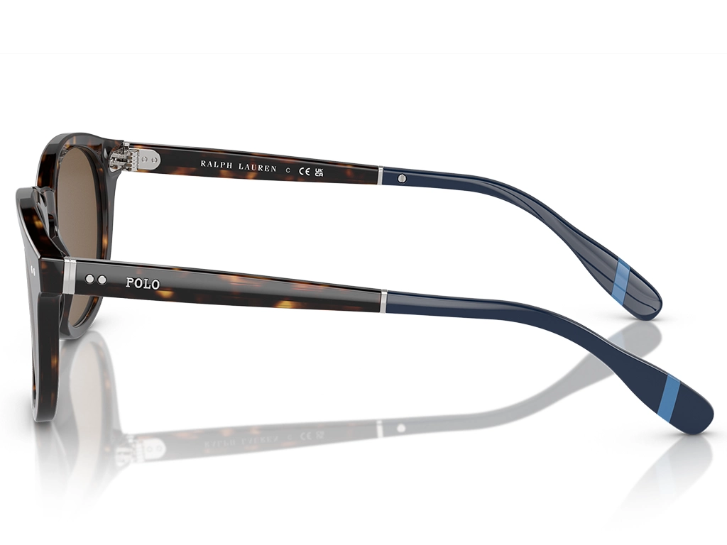 Polo Ralph Lauren 0PH4206 500373 Dark Havana 52