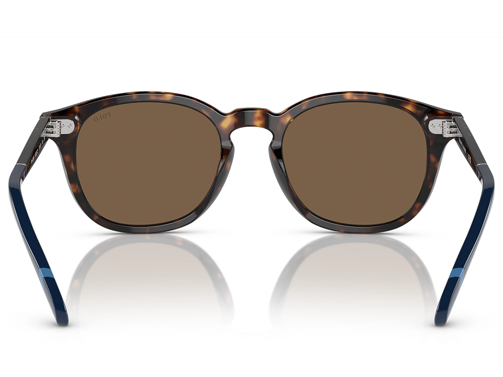 Polo Ralph Lauren 0PH4206 500373 Dark Havana 52