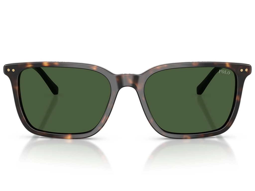 Polo Ralph Lauren 0PH4226 567371 Dark Havana 56