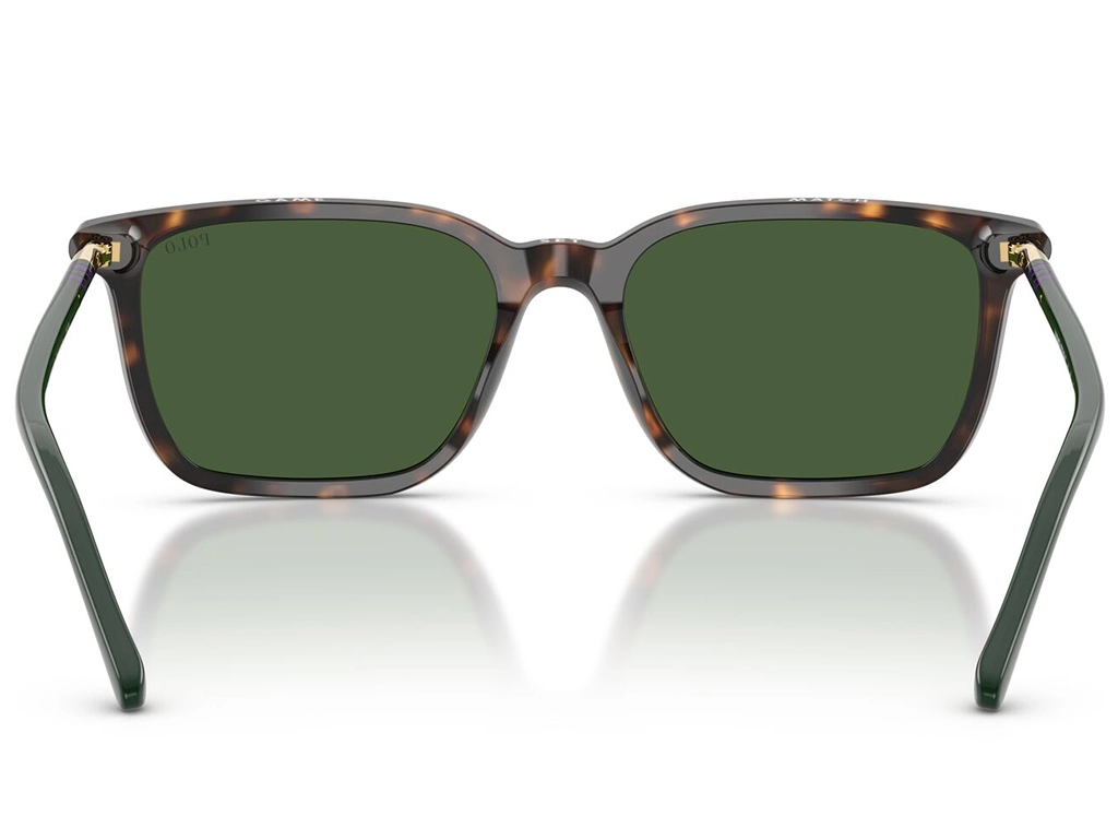 Polo Ralph Lauren 0PH4226 567371 Dark Havana 56