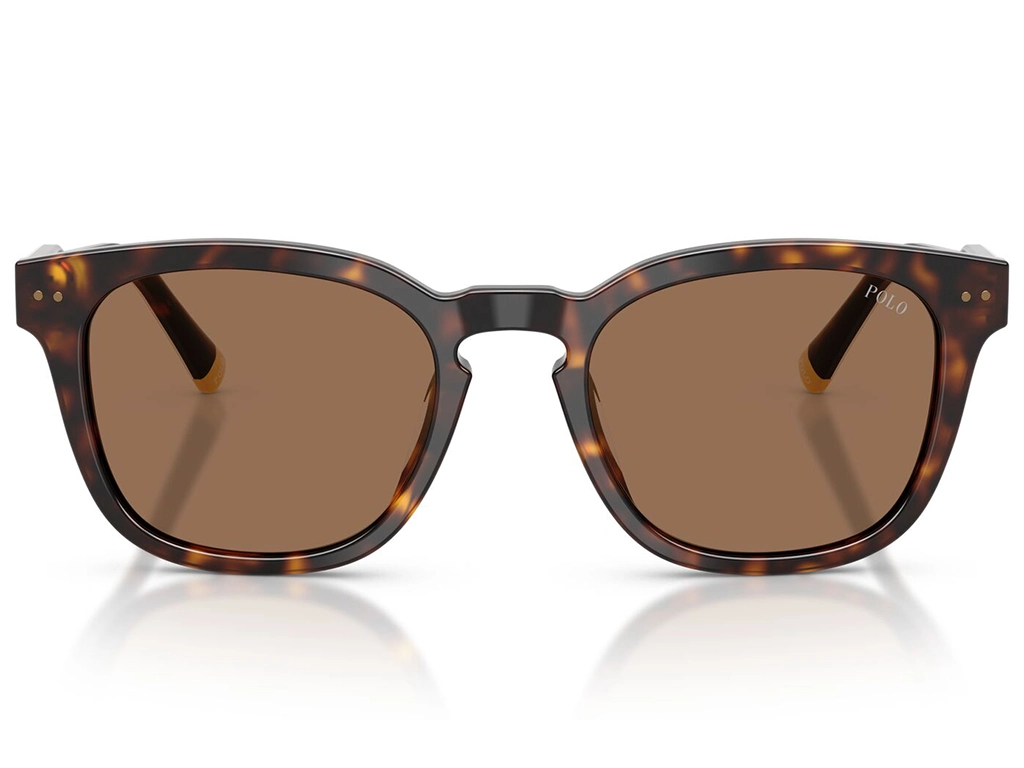 Polo Ralph Lauren 0PH4242U 562573 Shiny Havana 52