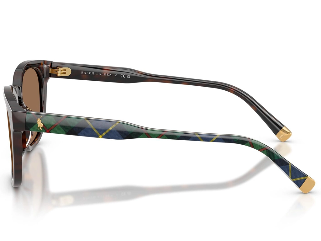 Polo Ralph Lauren 0PH4242U 562573 Shiny Havana 52