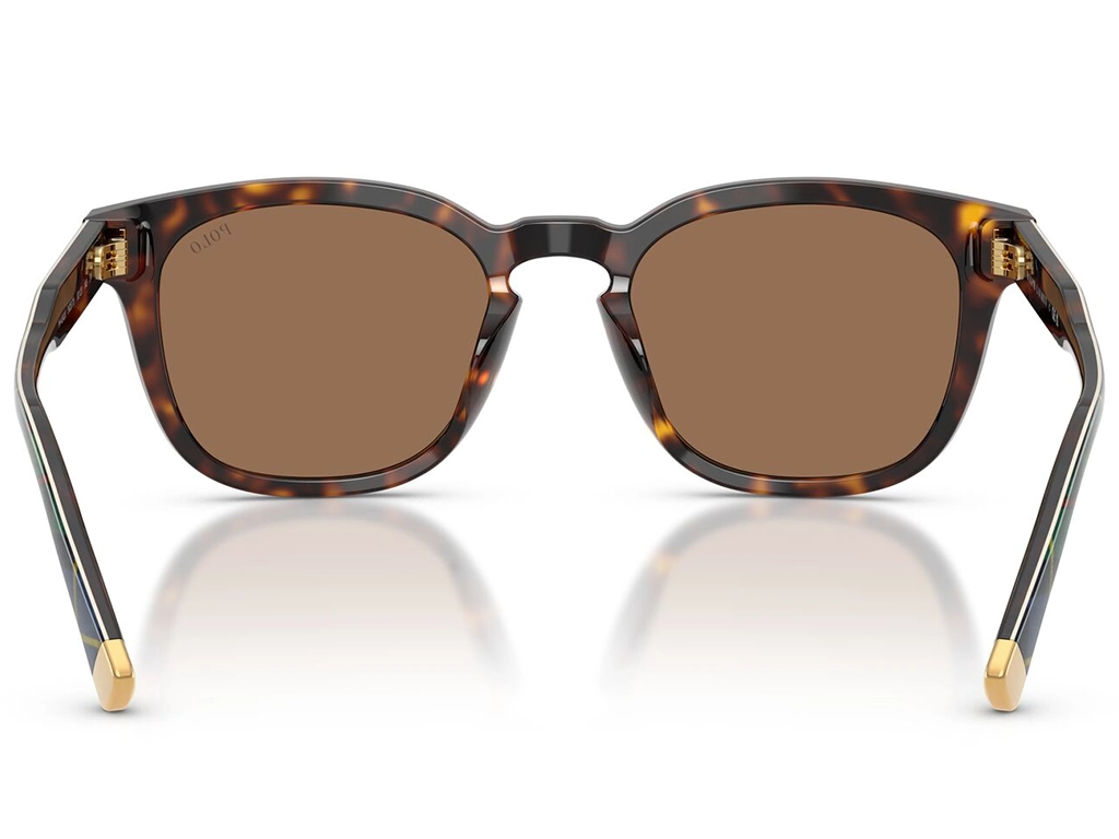 Polo Ralph Lauren 0PH4242U 562573 Shiny Havana 52