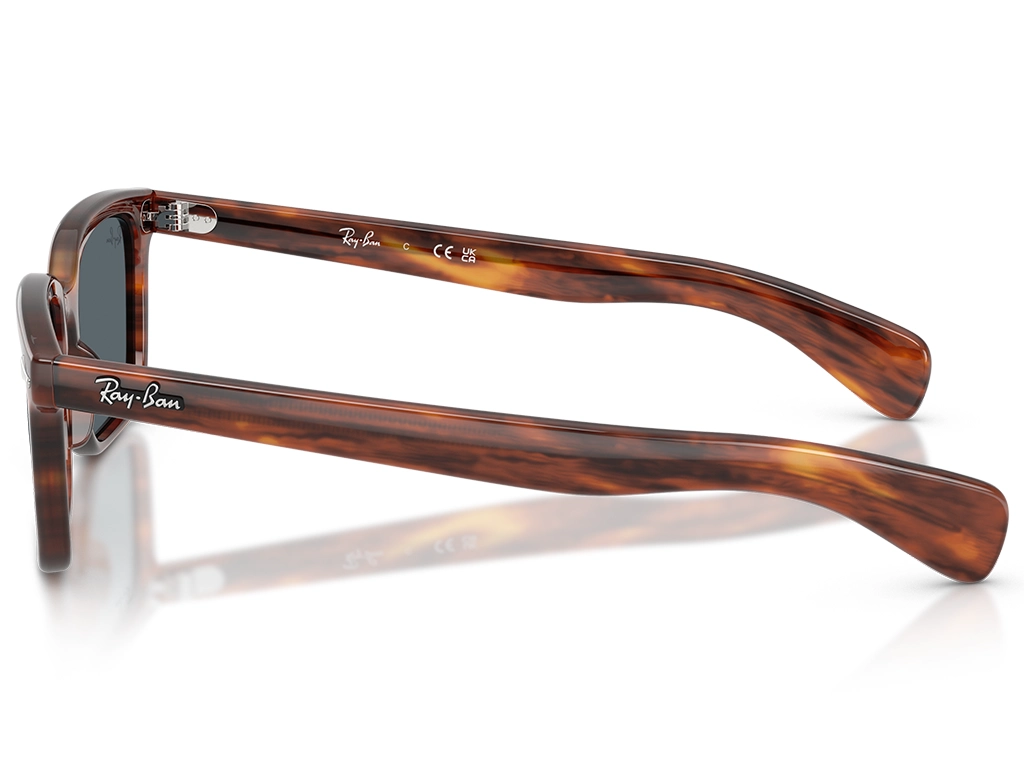 Ray-Ban 0RB2234 954/R5 Striped Havana 53