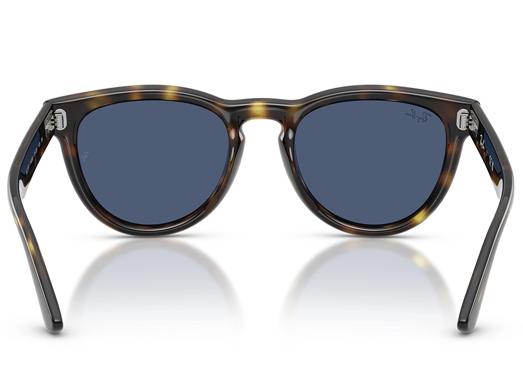 Ray-Ban 0RB2237 710/80 Havana 51