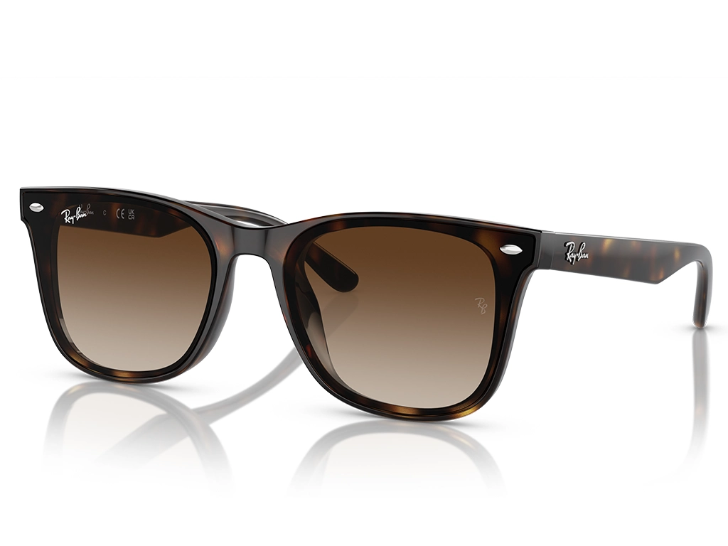 Ray-Ban 0RB4420 710/13 Havana 65 Gradient