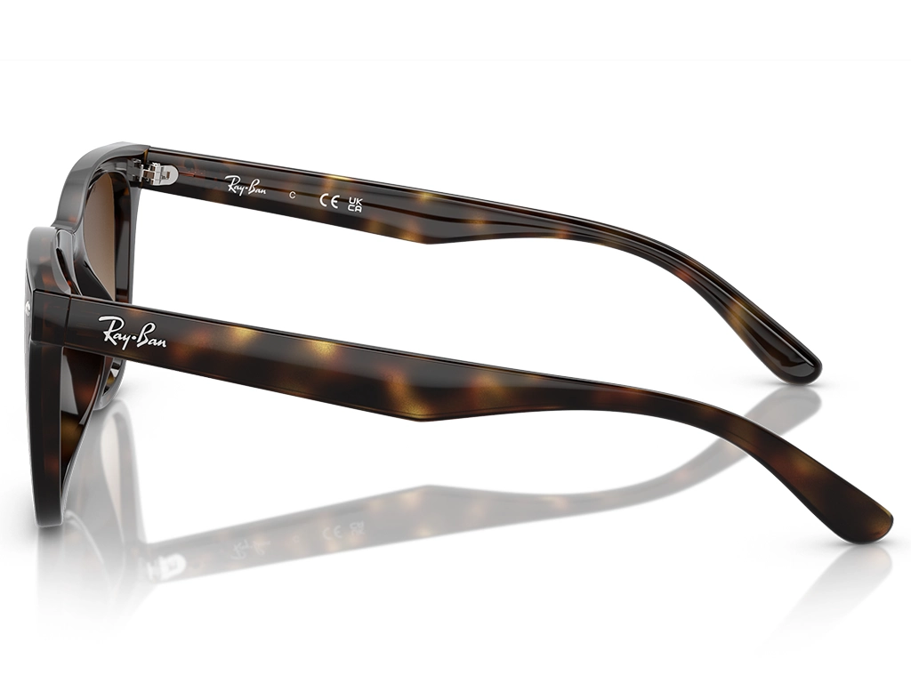 Ray-Ban 0RB4420 710/13 Havana 65 Gradient