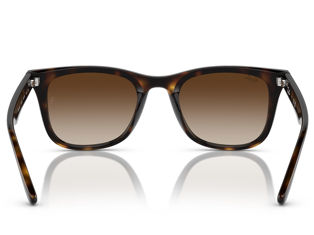 Ray-Ban 0RB4420 710/13 Havana 65 Gradient