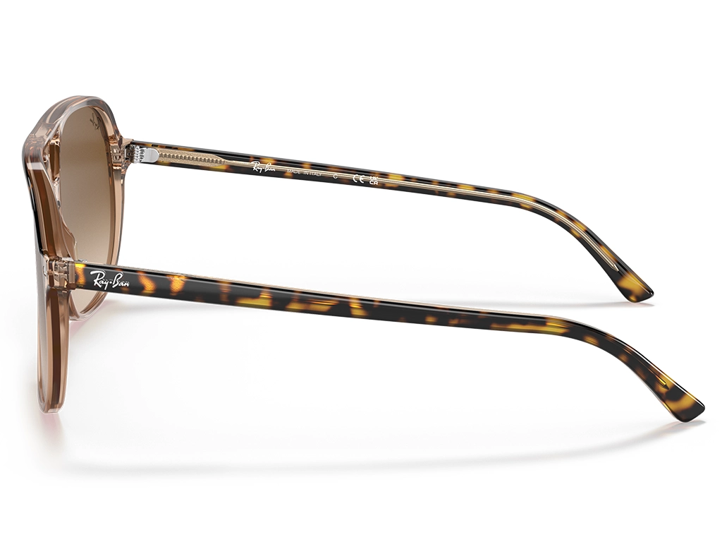 Ray-Ban Bill 0RB2198 129251 Havana on Transparent Brown 60 Gradient