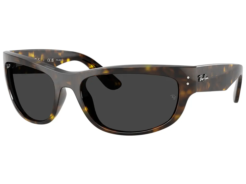 Ray-Ban Mega Balorama RB2289 902/48 60 Havana Polarised