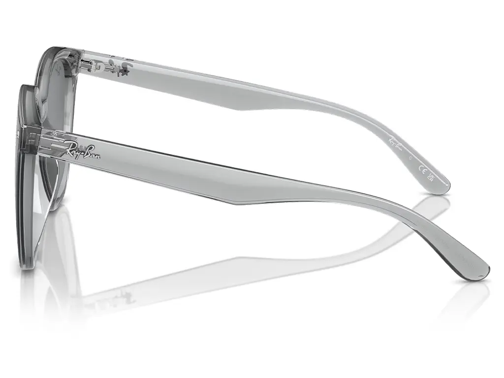 Ray-Ban RB4423D 645087 66 Transparent Grey