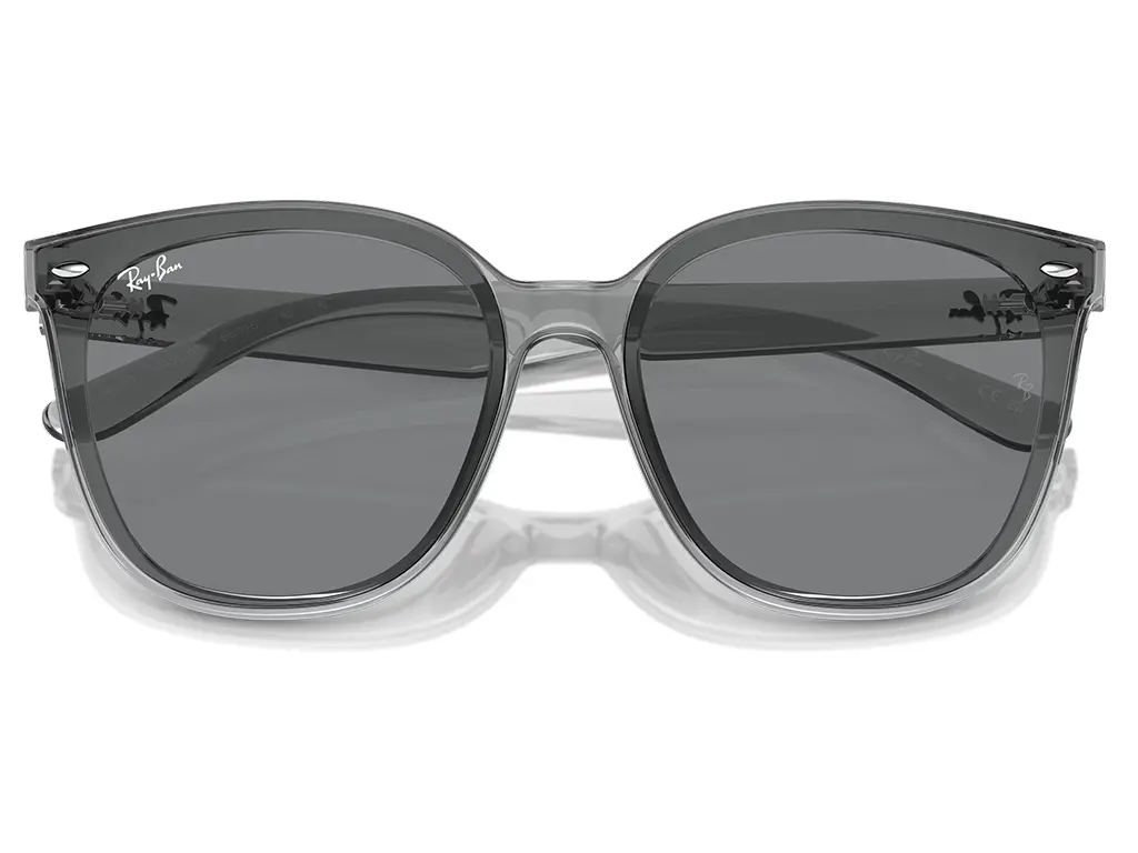 Ray-Ban RB4423D 645087 66 Transparent Grey