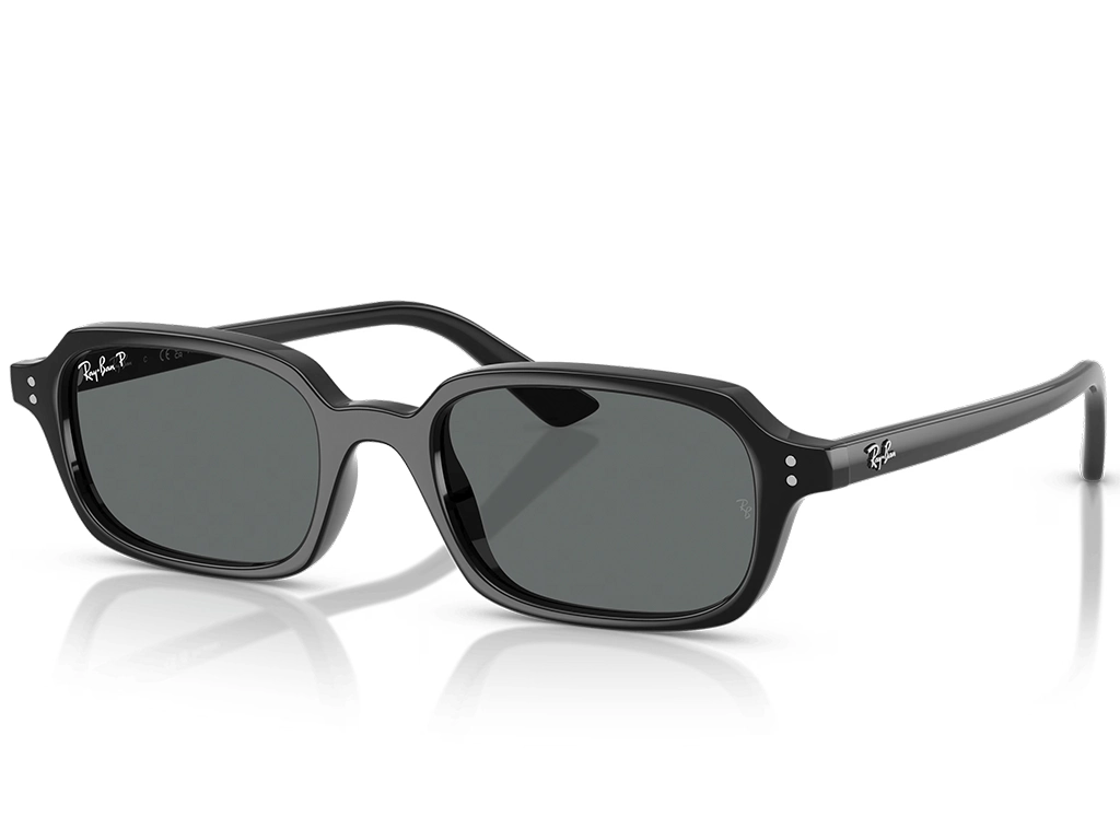 Ray-Ban RB4455 667781 Black 49 Polarised