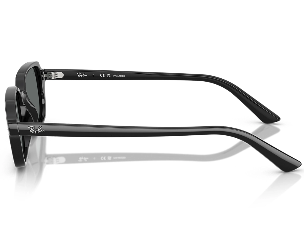 Ray-Ban RB4455 667781 Black 49 Polarised
